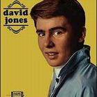 Davy Jones - David Jones
