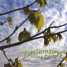 Declaration - Divine Design