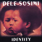 Dele Sosimi - Identity