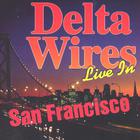Delta Wires - Take Off Your Pajamas - Live in S.F.