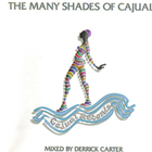 Derrick Carter - The Many Shades Of Cajual