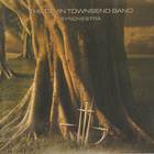 Devin Townsend - Synchestra
