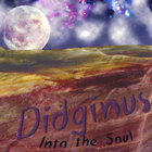 Didginus - Into the Soul