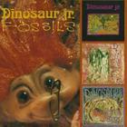 Dinosaur Jr. - Fossils