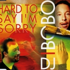 DJ Bobo - Hard To Say I'm Sorry (CDS)