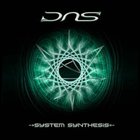 Dns - System Synthesis