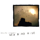 New Bird Rise