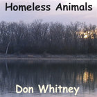 Homeless Animals