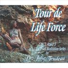 Dr. Julie Trudeau - 3 cd SET / TOUR de LIFE FORCE - parts 3-4-5 - The Sonic Spectrum Attunements 12 part series: spoken word series concepts & music