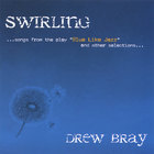 Drew Bray - Swirling