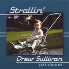Drew Sullivan - Strollin'