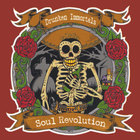 Drunken Immortals - Soul Revolution