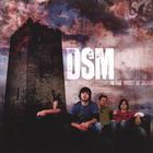 DSM - ...IN THE MIDST OF CHAOS