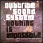 Dubtribe Sound System - Nothing Is Impossible