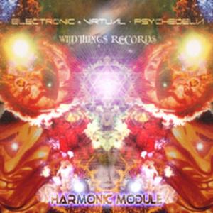 Harmonic Module