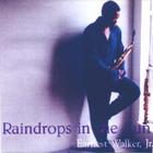 Earnest Walker, Jr. - Raindrops In The Sun