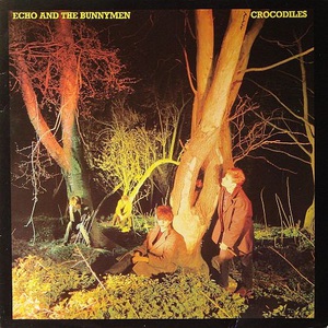 Crocodiles (Vinyl)