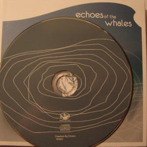 Echoes Of The Whales