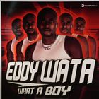 eddy wata - What A Boy (CDS)