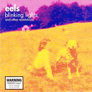 Blinking Lights And Other Revelations CD1