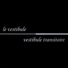 Electric Bird Noise - Le Vestibule - Vestibule Transitoire