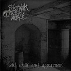 Cold Walls and Apparitions