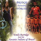 Emily Burridge - Bridge between Worlds