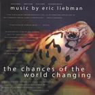 Eric Liebman - Original Motion Picture Soundtrack - "The Chances of the World Changing"