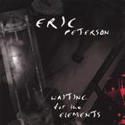 Eric Peterson - Waiting For The Elements