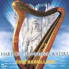 Erik Berglund - Harp of the Healing Waters