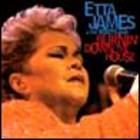 Etta James - Burning Down The House