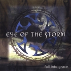 Eye of the Storm - Fall Into Grace