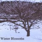 Federico Fasce - Winter Blossoms