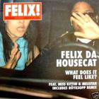 Felix Da Housecat - What Does It Feel Like?
