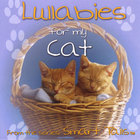 Felix Pando - Lullabies for my cat
