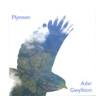 Ffynnon - Adar Gwylltion
