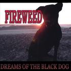 Fireweed - Dreams Of The Black Dog