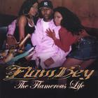 FLAMBEY - The Flamerous Life