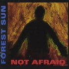 Forest Sun - Not Afraid