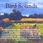 Frauke Rotwein - Bird Sounds
