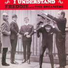 I Understand (Vinyl)