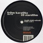 From Karaoke To Stardom - UndO rEdO wEirdO pArt 2 (RRY14B) Vinyl