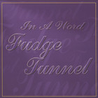 Fudge Tunnel - In a Word
