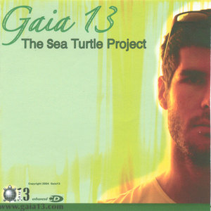 The Sea Turtle Project