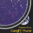 GaNgLy MoOsE - Northern Town