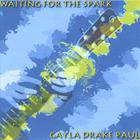 Gayla Drake Paul - Waiting For The Spark