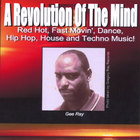 Gee Ray - A Revolution Of The Mind