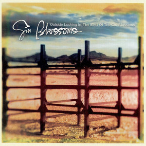 Outside Looking In: The Best Of Gin Blossoms