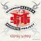 Schenker Barden Acoustic Project