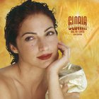 Gloria Estefan - Oye Mi Canto (Los Éxitos)